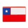 Pendrive 32gb usb 2.0 Chile