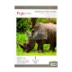 Papel Fotográfico Magnético Brillante 120grs A4 1 Hoja
